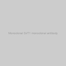 Image of Monoclonal SirT1 monoclonal antibody